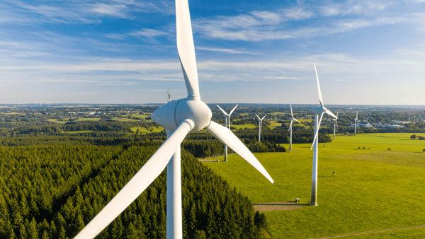 Row of windmills with forest in background